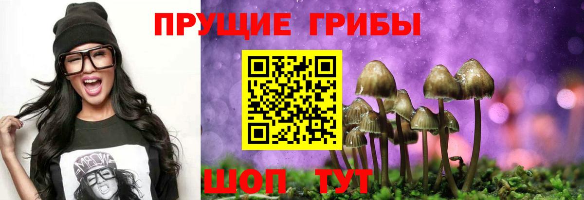 Галлюциногенные грибы GOLDEN TEACHER  Вход с VPN  Псилоцибиновые грибы MAGIC MUSHROOMS  Екатеринбург 